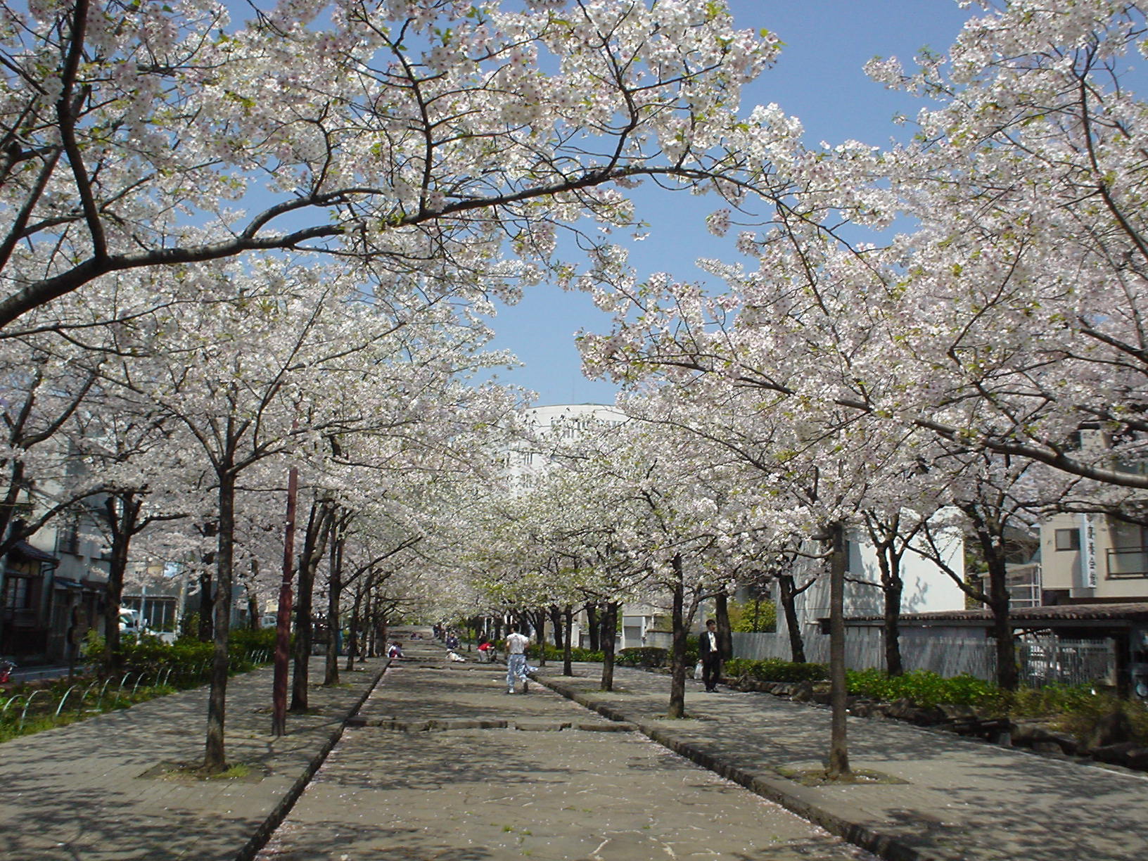 �Z�����������Z�󑐕��Z