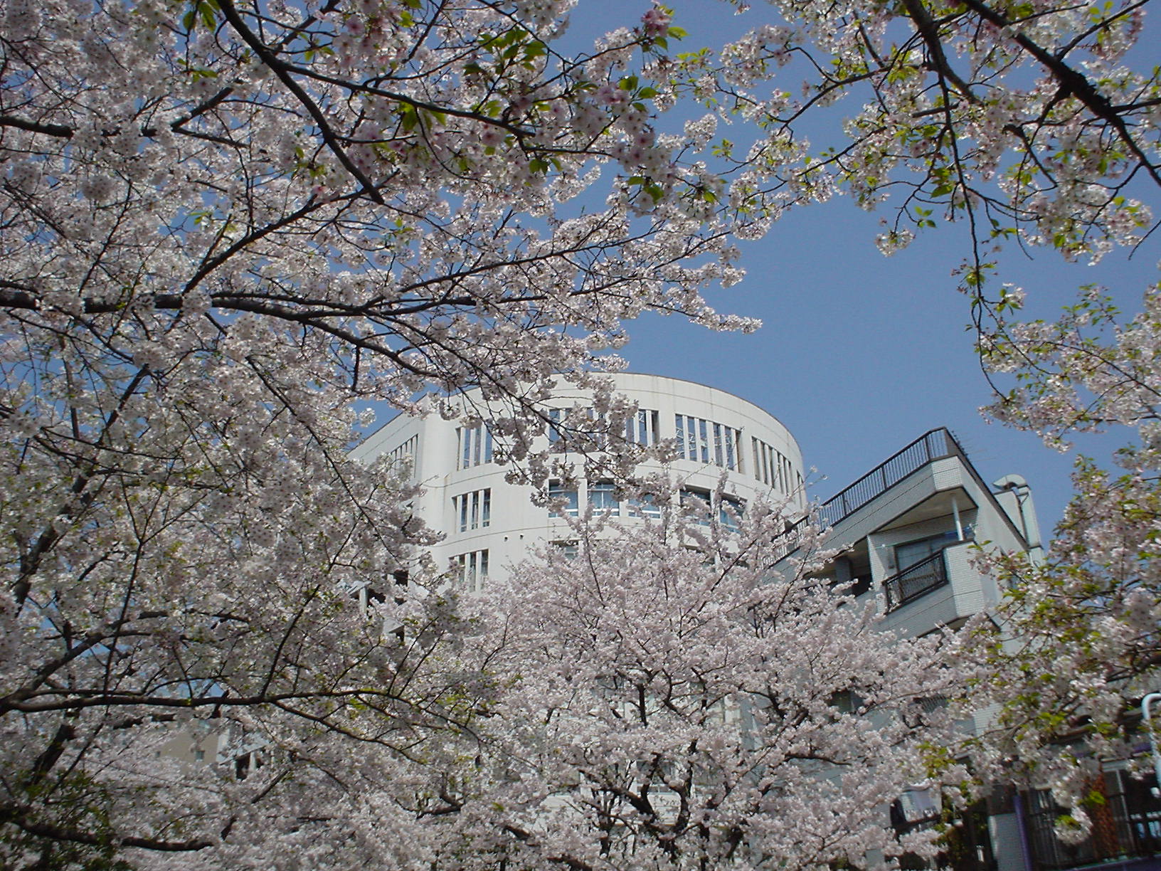 �t�̐󑐍��Z��]��