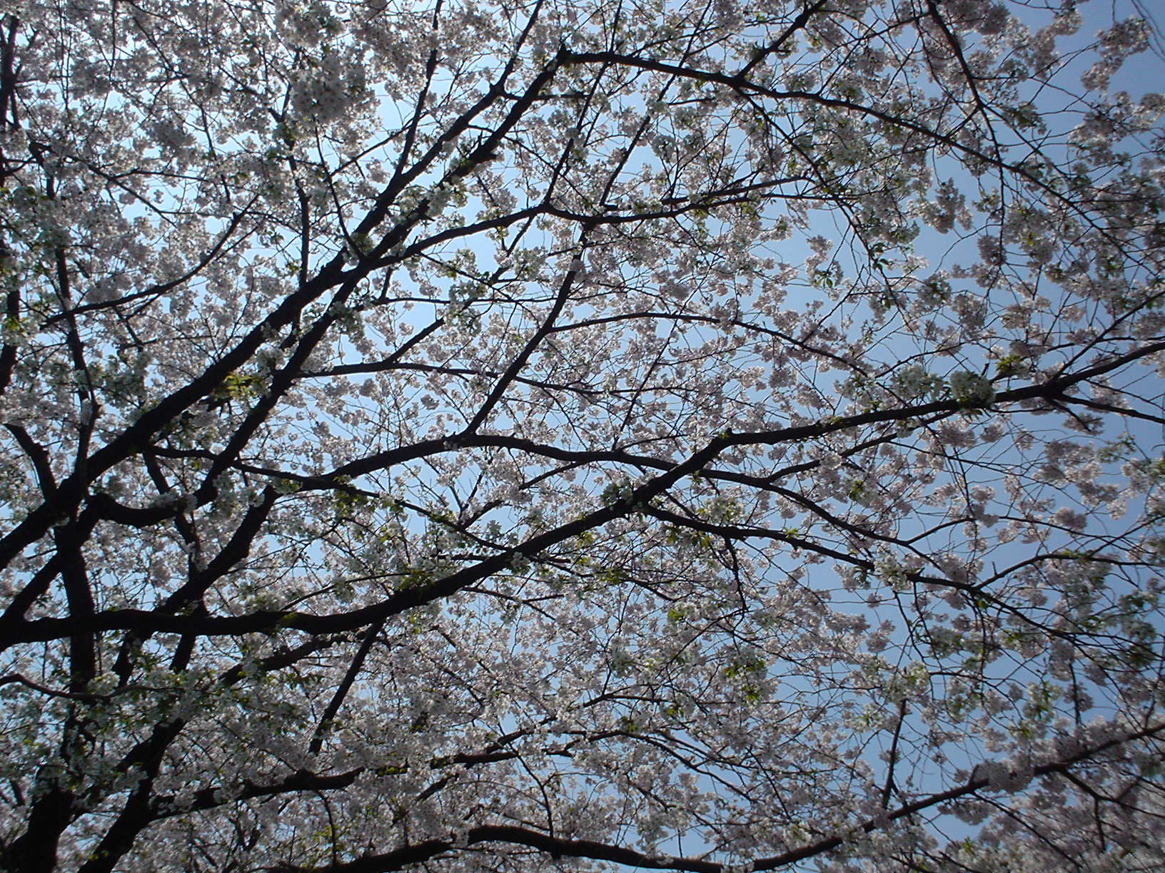 �����P�����c����