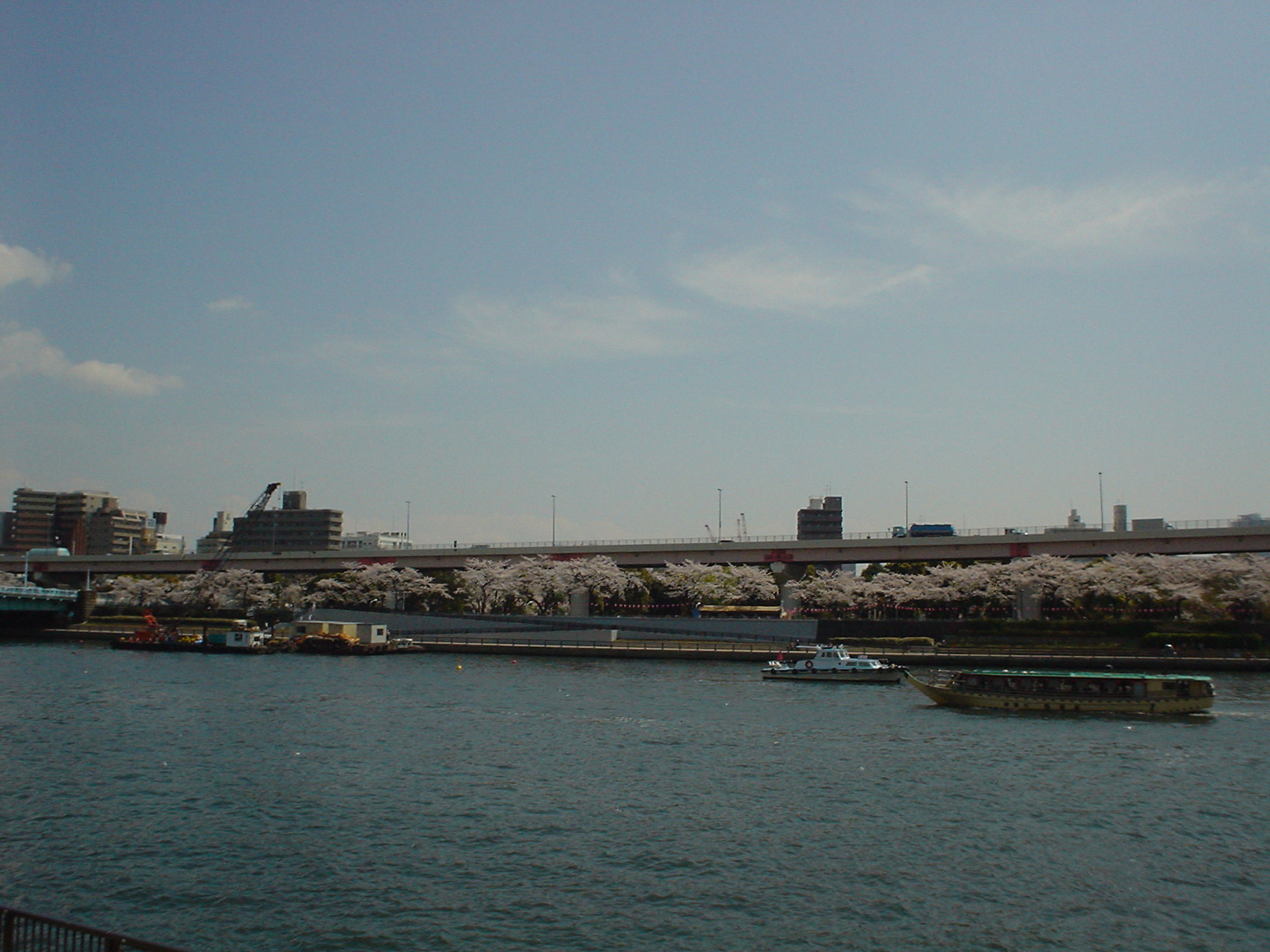 �s���̘a�̂��r�܂ꂽ�Ƃ�������c��