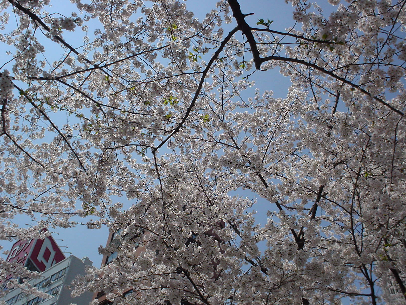 ���c�����ɂ�