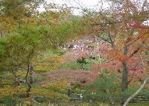 �V�������ł͐l�X�����z�̎�����ڎw���Ă��܂��B