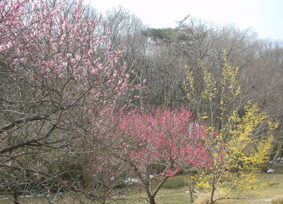 �w�Z�͂��悻1�N�O�ɕZ���܂���