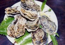 �L�������w�����x