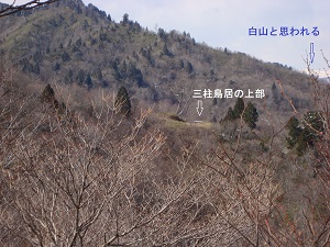 岐阜県大和町の三柱鳥居から白山が見える