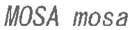 MOSA mosa

