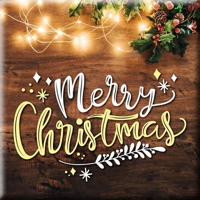Merry Xmas top
