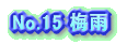 No.15 �~�J