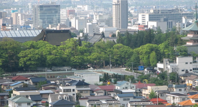 客室から望む善光寺