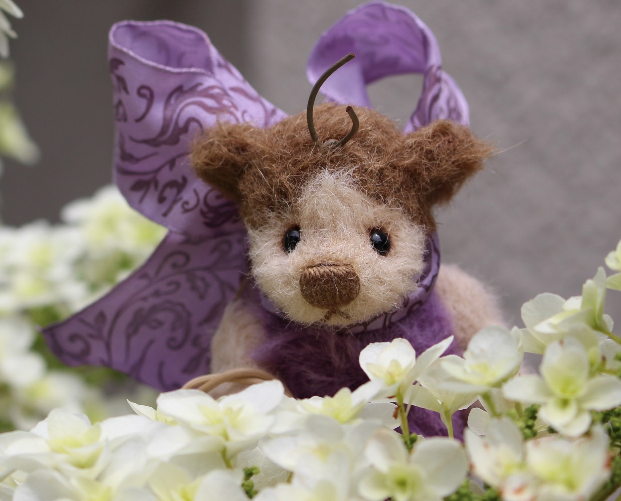 Ladybird Purple, 4.7 inchies bear wearing costume of Ladybird, <br>made from hand dyed alpaca.