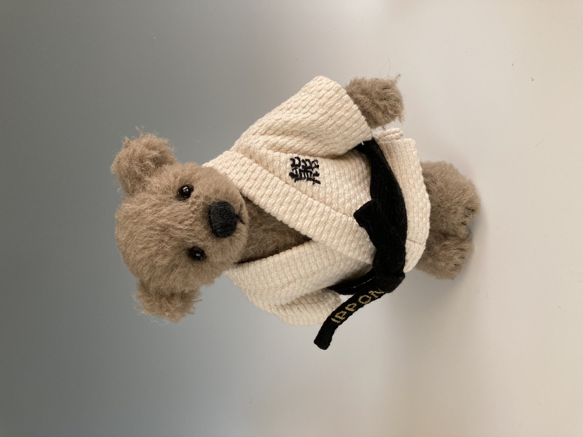 Teddy, 7 inches bear made from wool, wearing judogi.