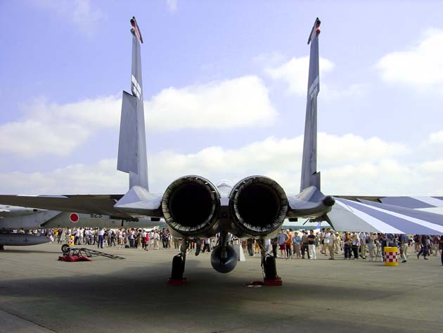 F-15J 50th B-type �o�b�N