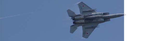 F-15J �������C���[1