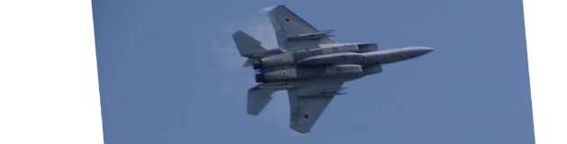 F-15J �������C���[3