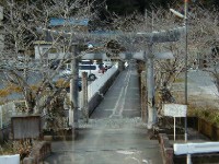 ���ؒj�_��