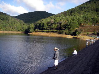 �����Ȃ�����