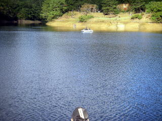 前回はこのあたりにいたような・・