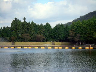 �ߌォ��I�[�v���̃r�M�i�[�Y�G���A