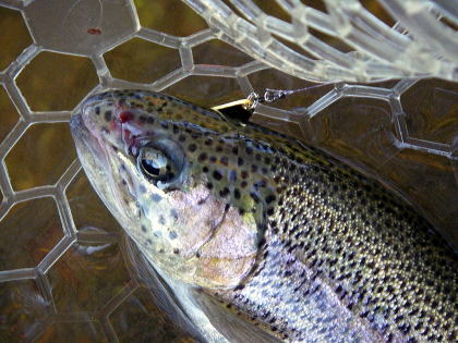 師匠が追加投入したspoonで