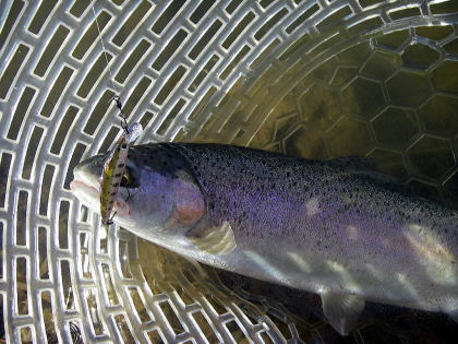 役に立ちました!