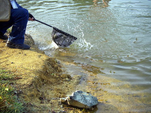 �t���̂Q�C��