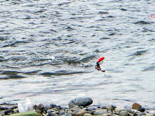 ���肩��́��H���H�̐���������