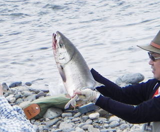 �B�e�˗��ɖ��ʂ̏΂݁i�A�j