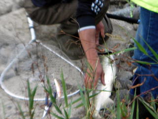 �~�m�[�ł̈�C