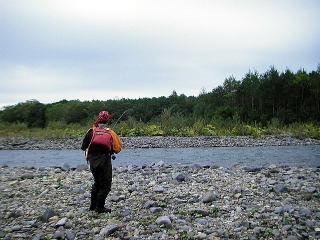 ɁAŎt͓̃TPɏo܂