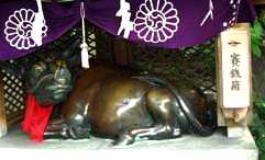 �ʐ^�S�|�P�F���������狍�B