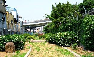 写真T2-3:飛田本通駅跡。