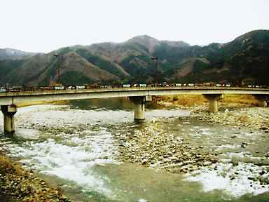 �ʐ^�j�P�F�K�ې앗�i�i�����{�R��]�ށj�B