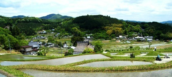 �ʐ^�P�F���J�̒I�c�B