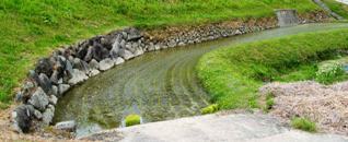 �ʐ^�P�O�F�p�Ȃ����Ί_�B