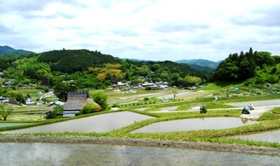 �ʐ^�Q�F���J�̒I�c�B