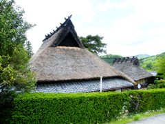 �ʐ^�T�F���������̔_�ƁB