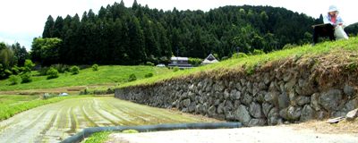 �ʐ^�X�F�i�����x����Ί_�B