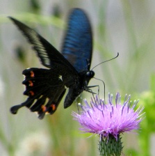 �ʐ^���P�P�F�N���A�Q�n�B