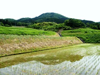 �ʐ^���V�F�u�[�t�B���X�̐X�v�o�������猩���I�c�ƎO���R�B