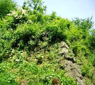 写真14:高石垣の西側の角を見上げる。