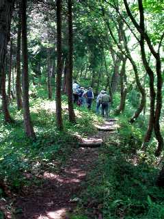 写真4:八木城の登山道。