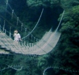 �ʐ^�O�|�R�F�����݋��B