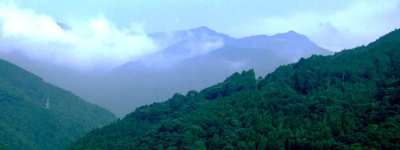 �ʐ^�O�|�S�F��A���v�X�œ�[�̕�X�B