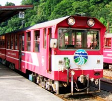 �ʐ^�P�|�Q�|�P�F�擪�̃N�n�U�O�O�^����q�ԁB