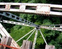 �ʐ^�P�P�|�Q�F�փm�򋴗�����`�����J��B