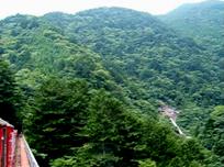 �ʐ^�P�P�|�R�F�փm�򋴗����猩����傫�ȓ����ǁB