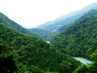 �ʐ^�P�Q�|�R�F����̂u���J�i���ڑZ���j�B