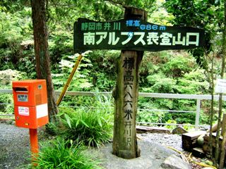 �ʐ^�P�R�|�P�F���w�̕W���������W���B