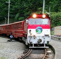 �ʐ^�P�R�|�T�F���H�̉�����z����������c�c�Q�O�^�f�B�[�[���@�֎ԁB