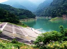 �ʐ^�V�|�P�F�_���΂̐ڑZ�΁B